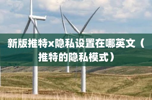 新版推特x隐私设置在哪英文（推特的隐私模式）