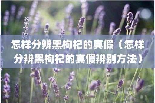 怎样分辨黑枸杞的真假（怎样分辨黑枸杞的真假辨别方法）