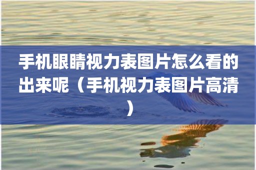 手机眼睛视力表图片怎么看的出来呢（手机视力表图片高清）