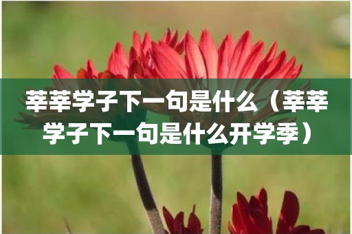 莘莘学子下一句是什么（莘莘学子下一句是什么开学季）