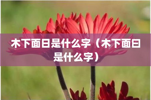 木下面日是什么字（木下面曰是什么字）