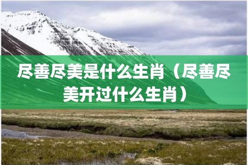 尽善尽美是什么生肖（尽善尽美开过什么生肖）