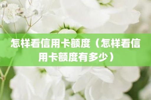 怎样看信用卡额度（怎样看信用卡额度有多少）
