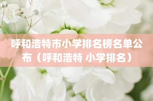 呼和浩特市小学排名榜名单公布（呼和浩特 小学排名）