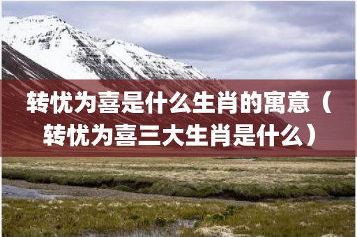 转忧为喜是什么生肖的寓意（转忧为喜三大生肖是什么）