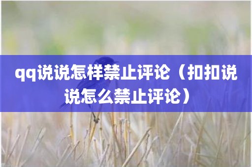 qq说说怎样禁止评论（扣扣说说怎么禁止评论）