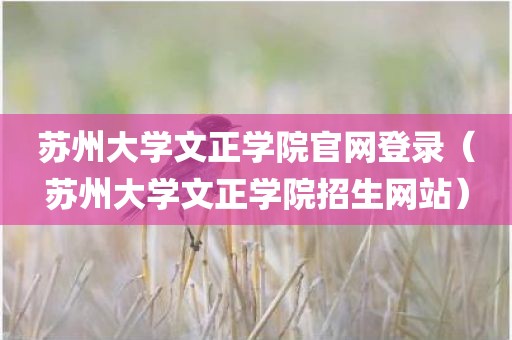 苏州大学文正学院官网登录（苏州大学文正学院招生网站）