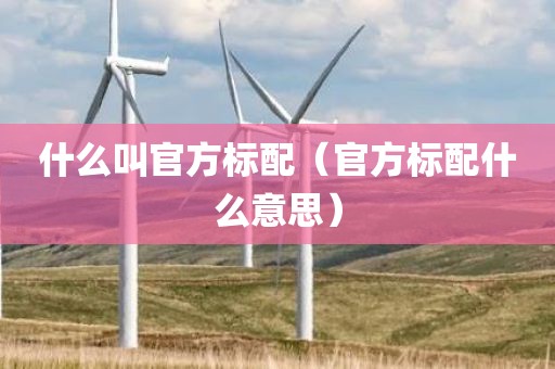 什么叫官方标配（官方标配什么意思）