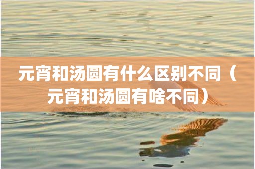 元宵和汤圆有什么区别不同（元宵和汤圆有啥不同）