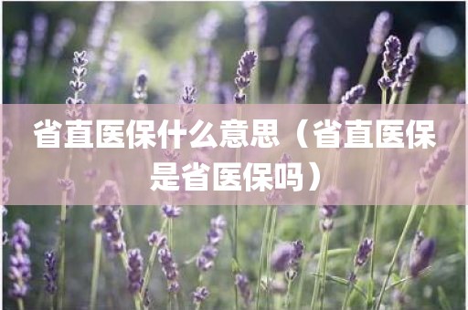 省直医保什么意思（省直医保是省医保吗）