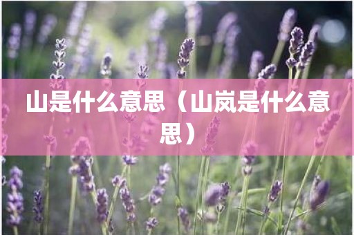 山是什么意思（山岚是什么意思）