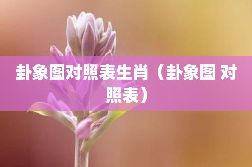 卦象图对照表生肖（卦象图 对照表）