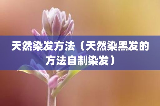 天然染发方法（天然染黑发的方法自制染发）