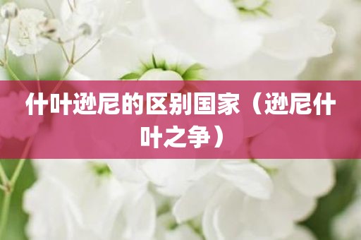 什叶逊尼的区别国家（逊尼什叶之争）