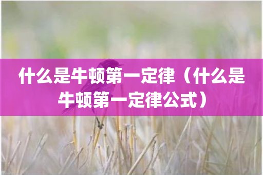 什么是牛顿第一定律（什么是牛顿第一定律公式）