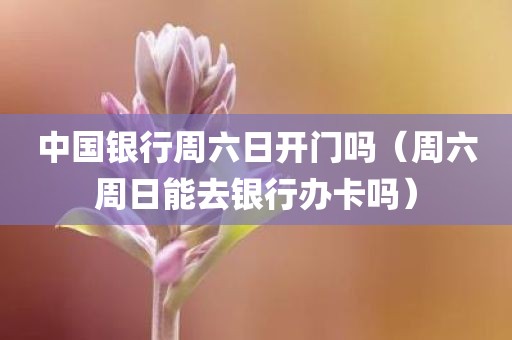 中国银行周六日开门吗（周六周日能去银行办卡吗）