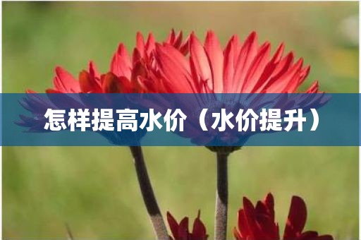 怎样提高水价（水价提升）