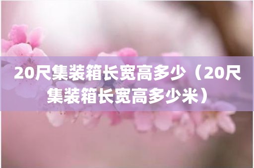 20尺集装箱长宽高多少（20尺集装箱长宽高多少米）