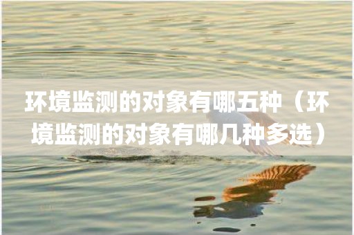 环境监测的对象有哪五种（环境监测的对象有哪几种多选）