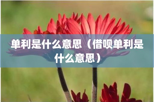 单利是什么意思（借呗单利是什么意思）