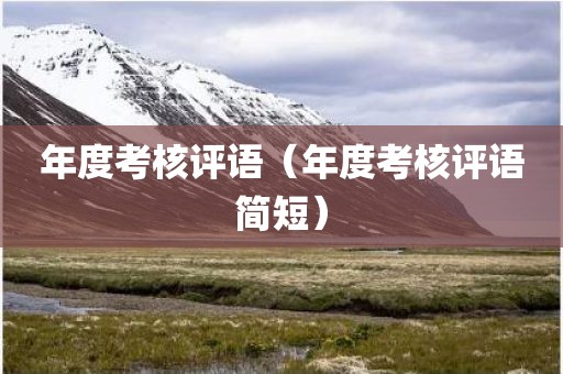 年度考核评语（年度考核评语简短）