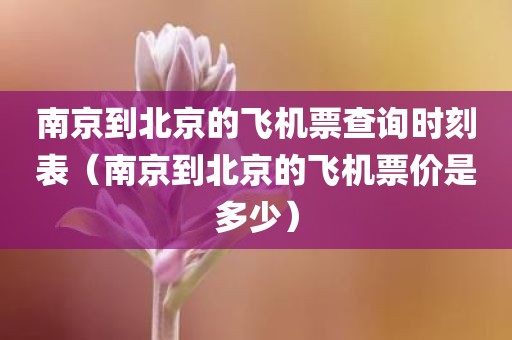 南京到北京的飞机票查询时刻表（南京到北京的飞机票价是多少）