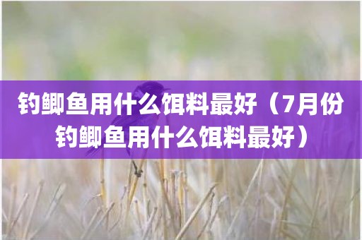 钓鲫鱼用什么饵料最好（7月份钓鲫鱼用什么饵料最好）