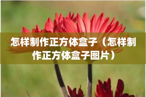 怎样制作正方体盒子（怎样制作正方体盒子图片）