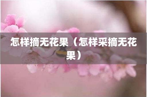 怎样摘无花果（怎样采摘无花果）
