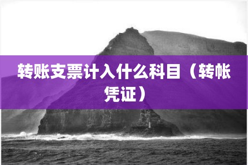 转账支票计入什么科目（转帐凭证）