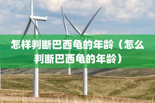 怎样判断巴西龟的年龄（怎么判断巴西龟的年龄）