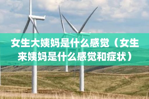 女生大姨妈是什么感觉(女生来姨妈是什么感觉和症状)