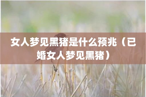 女人梦见黑猪是什么预兆（已婚女人梦见黑猪）