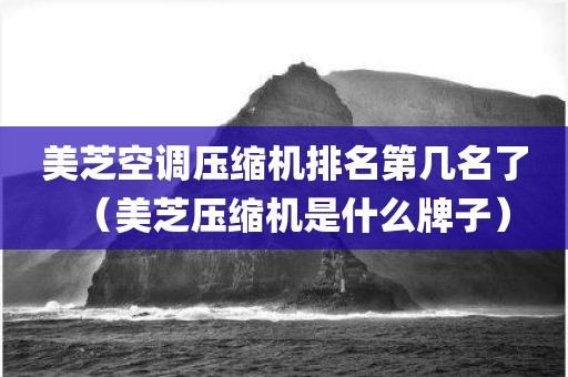 美芝空调压缩机排名第几名了（美芝压缩机是什么牌子）