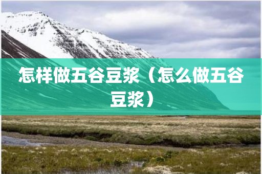 怎样做五谷豆浆（怎么做五谷豆浆）