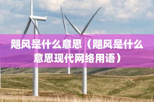 飓风是什么意思(飓风是什么意思现代网络用语)