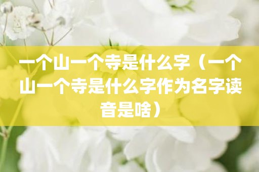 一个山一个寺是什么字（一个山一个寺是什么字作为名字读音是啥）