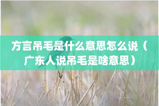 方言吊毛是什么意思怎么说（广东人说吊毛是啥意思）