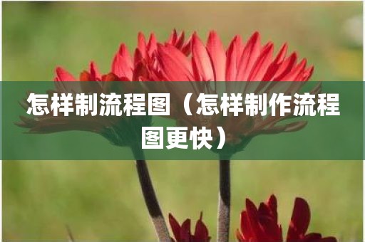 怎样制流程图（怎样制作流程图更快）