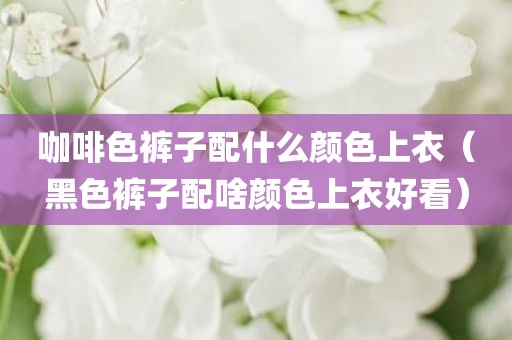 咖啡色裤子配什么颜色上衣（黑色裤子配啥颜色上衣好看）