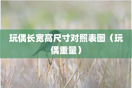 玩偶长宽高尺寸对照表图（玩偶重量）