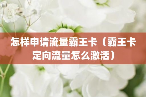 怎样申请流量霸王卡（霸王卡定向流量怎么激活）