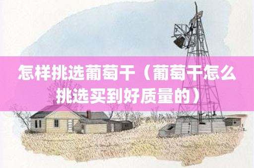 怎样挑选葡萄干（葡萄干怎么挑选买到好质量的）