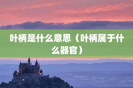 叶柄是什么意思（叶柄属于什么器官）