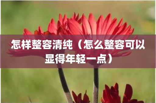 怎样整容清纯（怎么整容可以显得年轻一点）