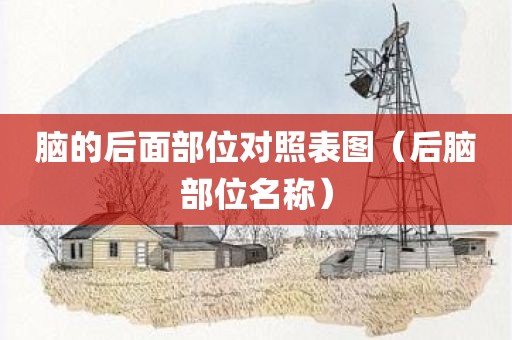 脑的后面部位对照表图（后脑部位名称）