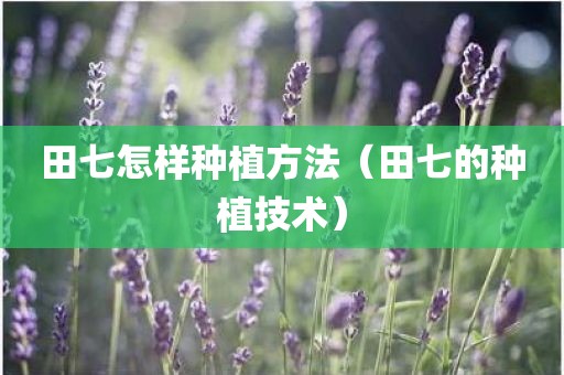 田七怎样种植方法（田七的种植技术）