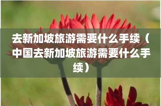去新加坡旅游需要什么手续（中国去新加坡旅游需要什么手续）
