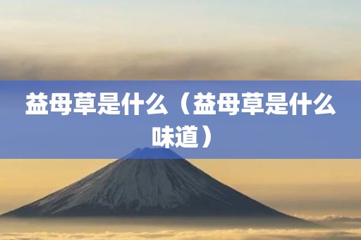 益母草是什么（益母草是什么味道）