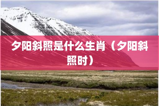夕阳斜照是什么生肖（夕阳斜照时）